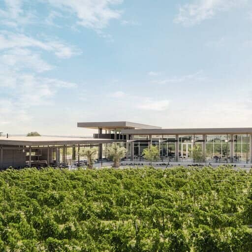 Sparkling Wine Tasting