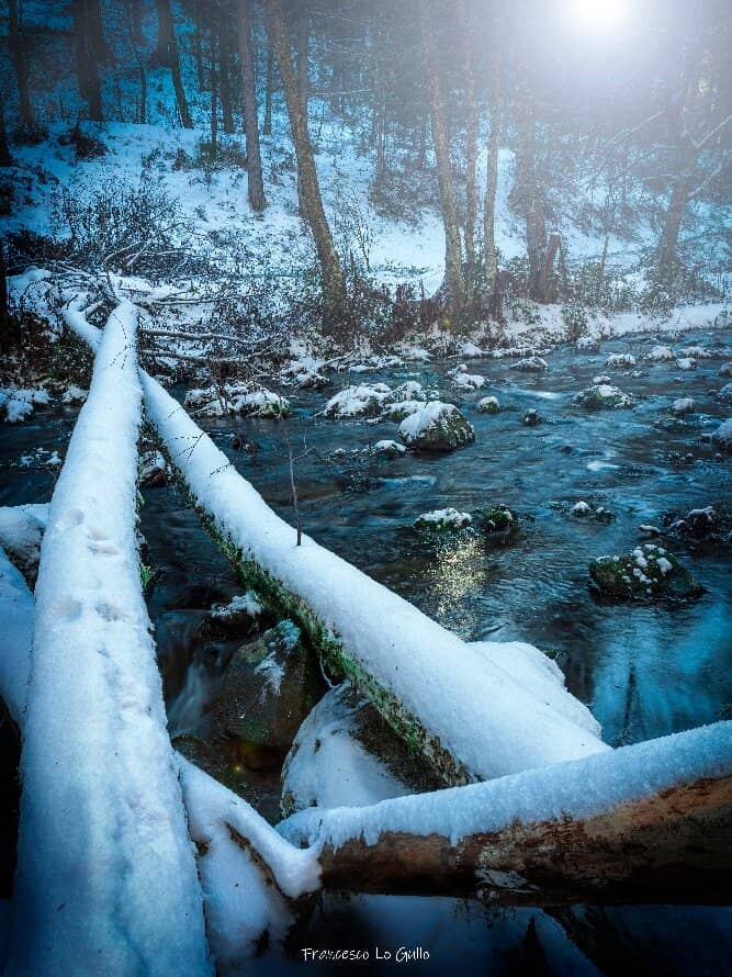 Vertical photo