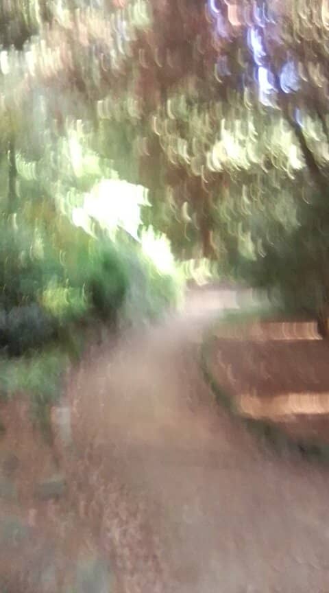 Wooded Trails