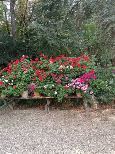 Verdi's Gardens