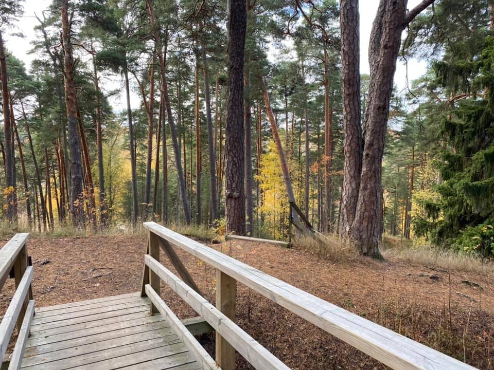 Albert Edelfelt's Inspiration