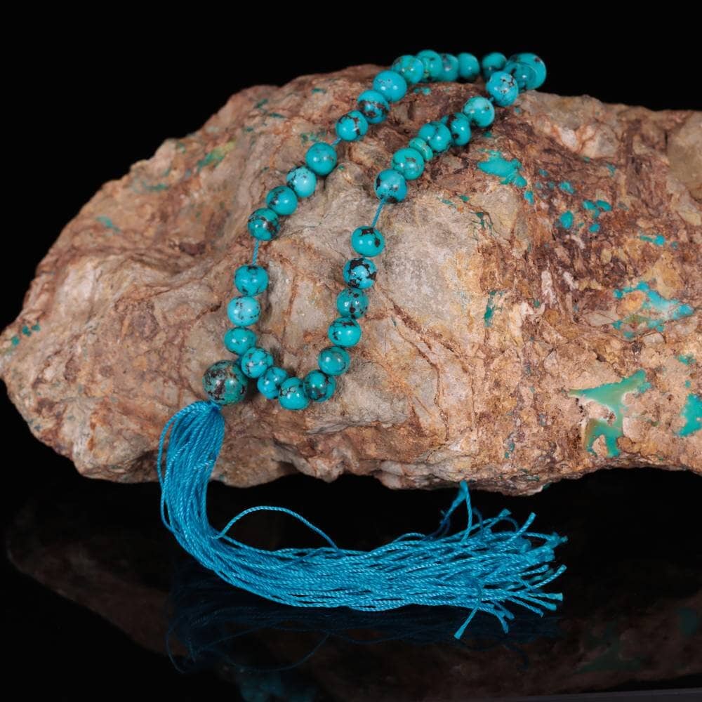 Apricot Tree Surroundings