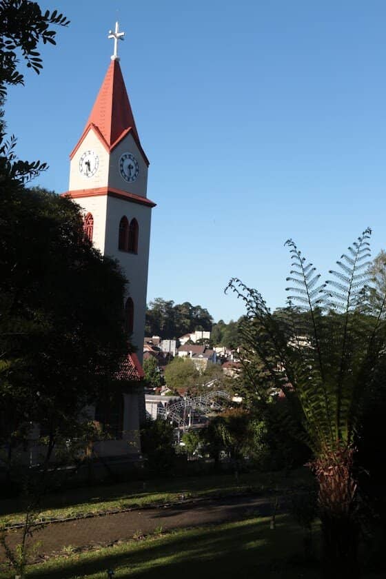 The Blooming Hydrangeas
