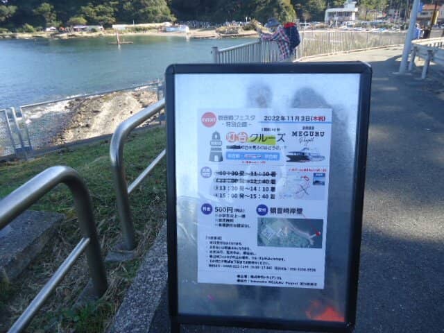 Kawazu Cherry Blossoms