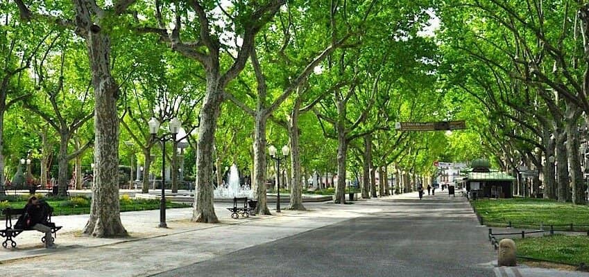 Paul Wolff Exhibition