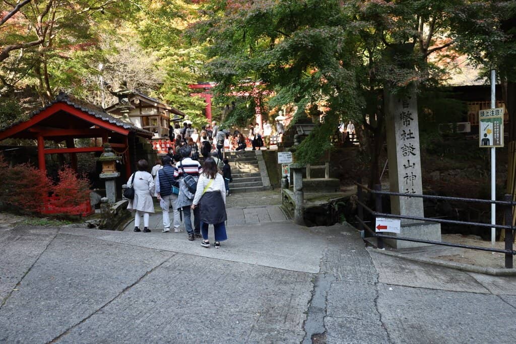 Autumn Foliage Spectacle