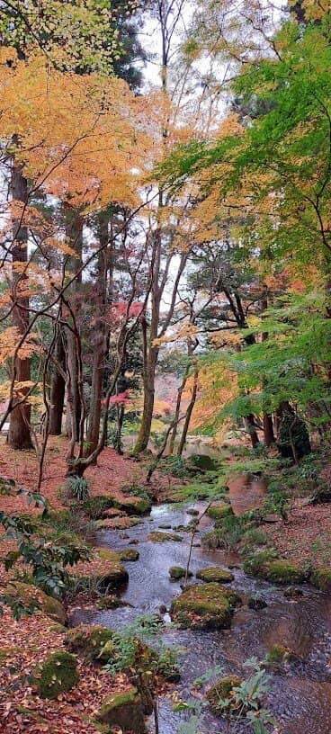 Peaceful Walking Paths