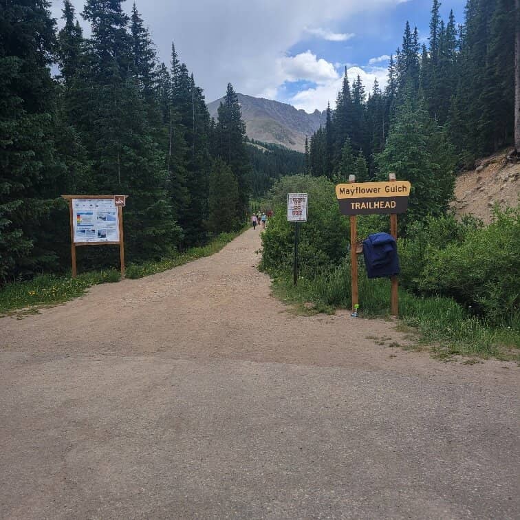 Alpine Meadow