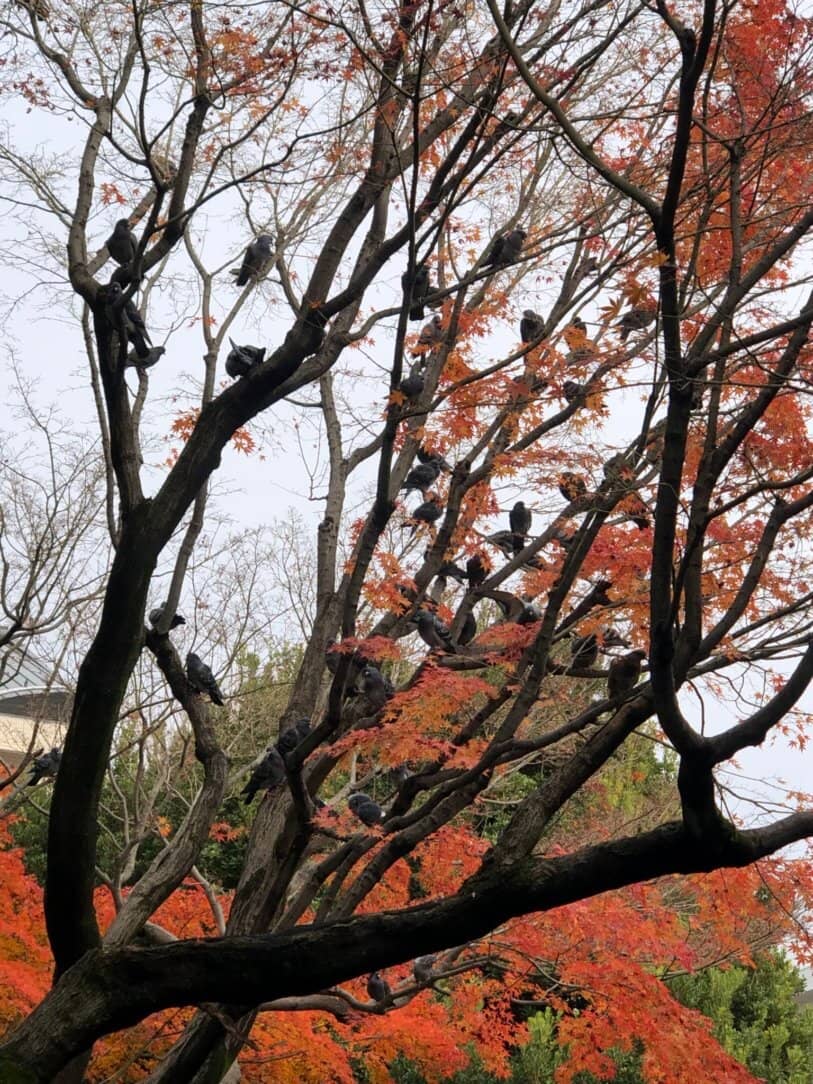 Children's Play Area