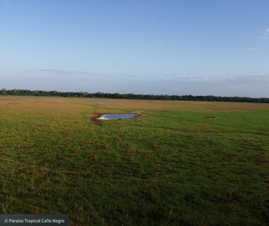 Birdwatcher's Paradise