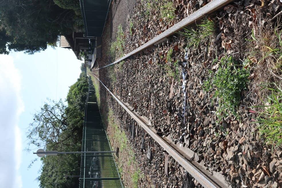 Vintage Train Experience