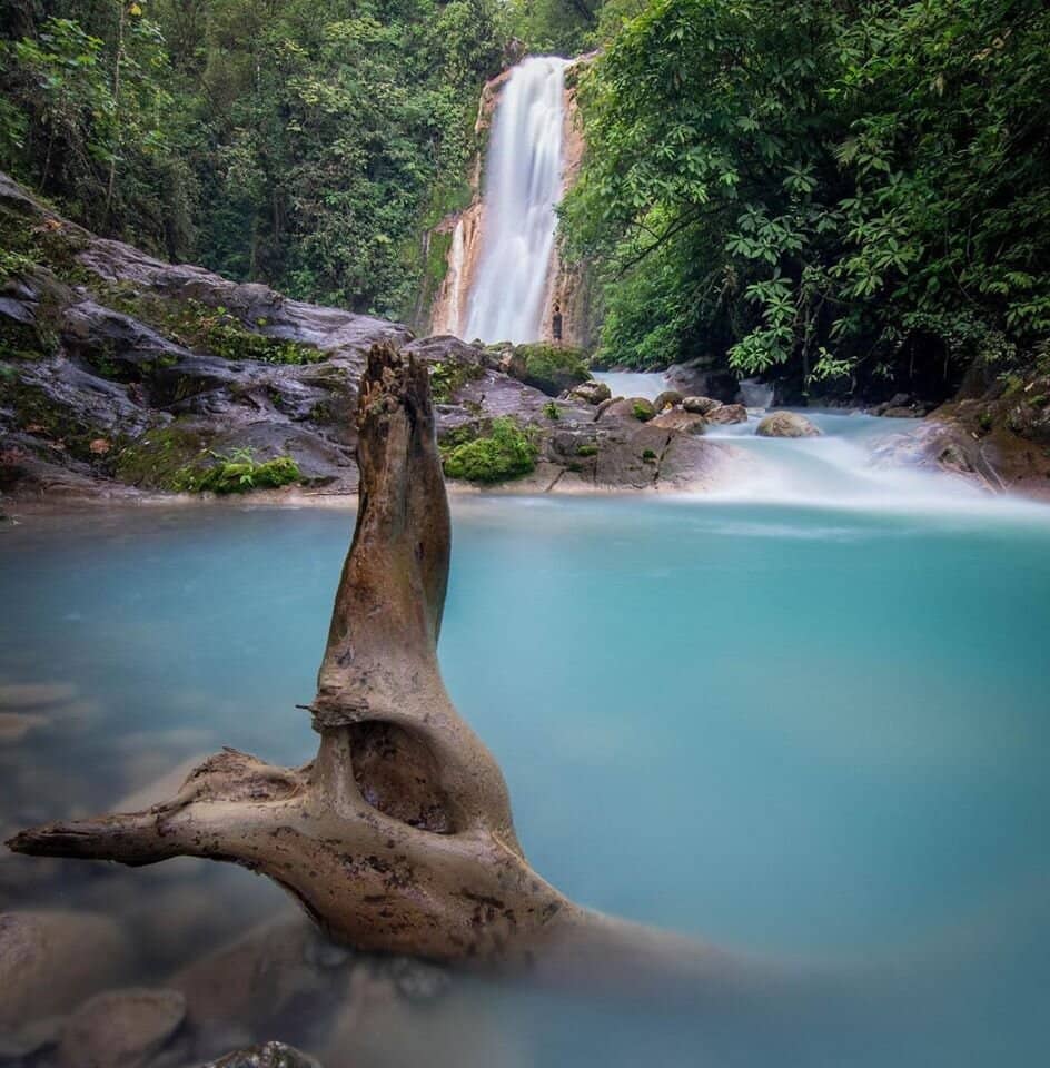 Natural Swimming Pools
