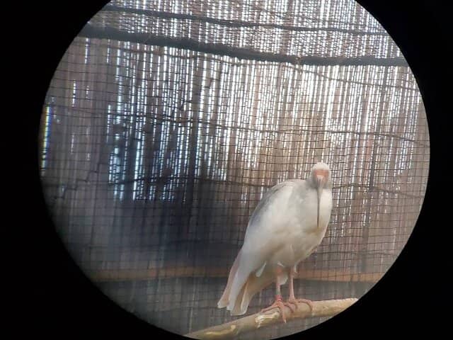 Toki Museum & Information