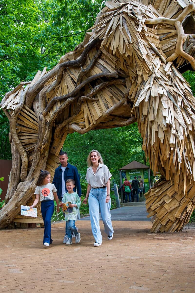 Treetop Trail Adventure