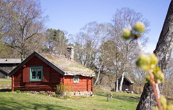 Indigenous Tree Houses and Huts