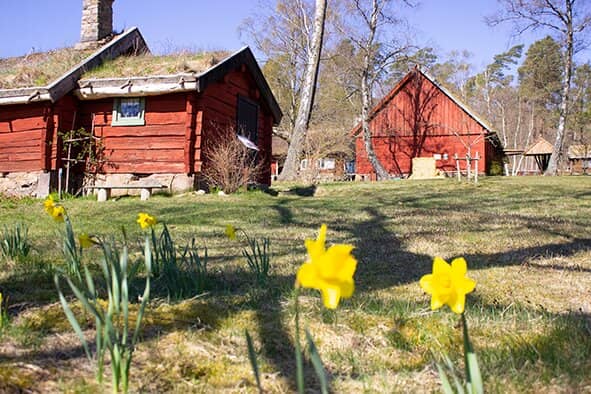 Midsummer Festival