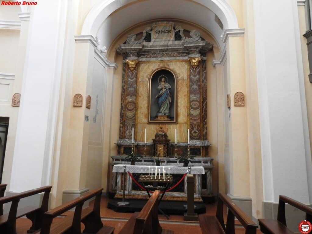 The Organ