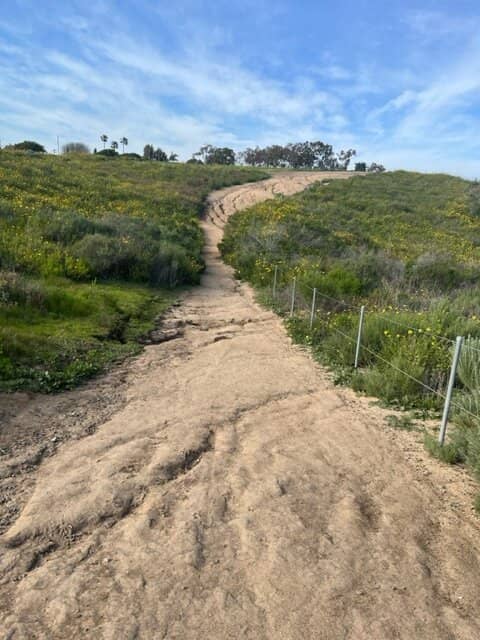 Vertical photo