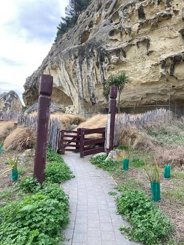 Cliffside Birdlife