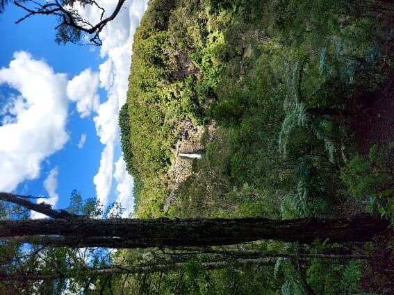 Picnic Spots with a View