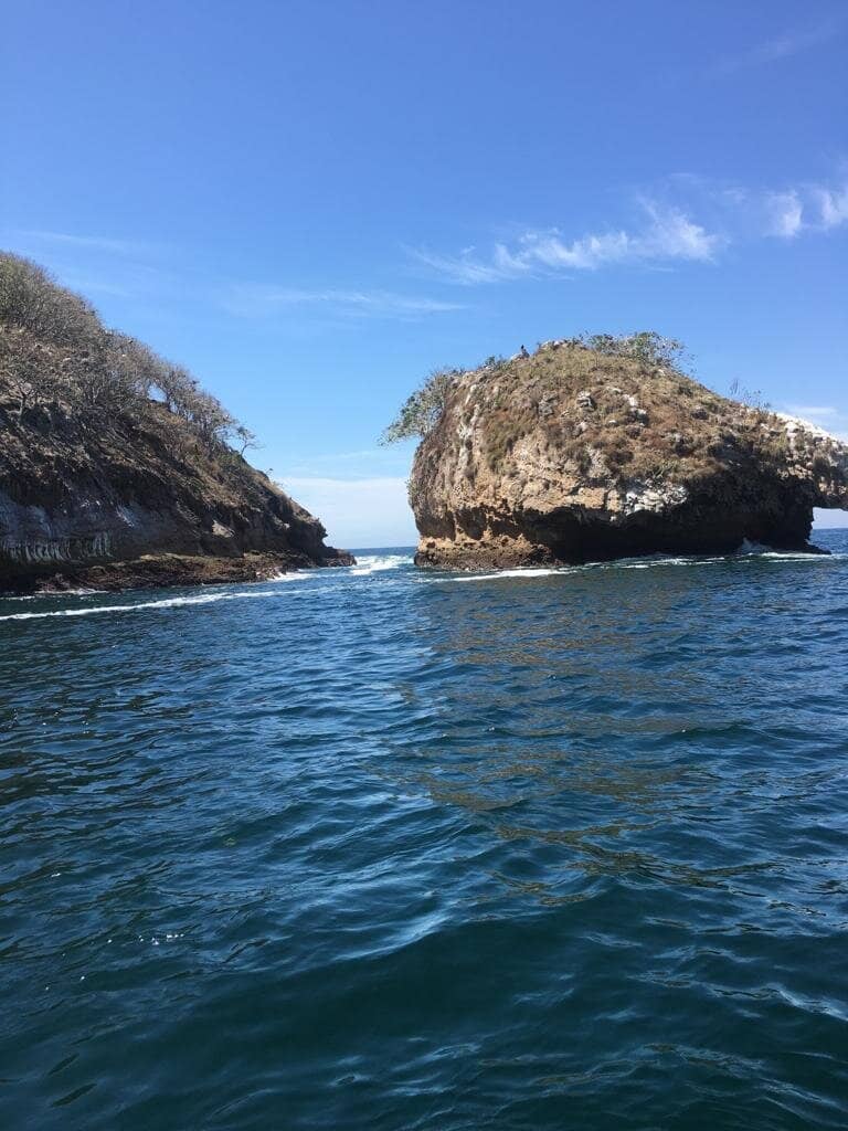 Vertical photo