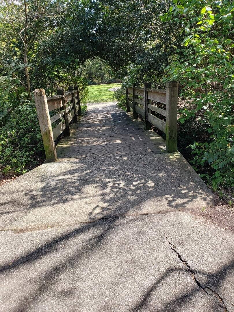 Summer Solstice Festival