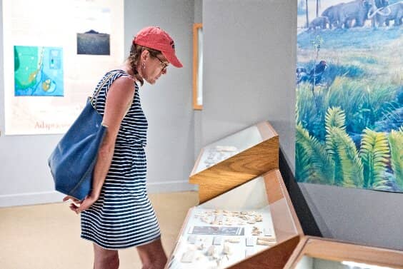 Miami's Evolution Exhibits