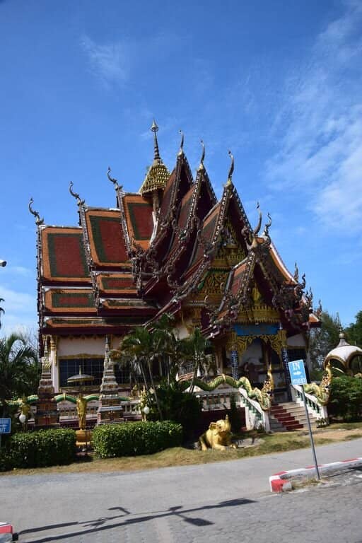 Feeding the Fish and Turtles