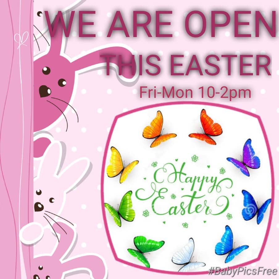 Alice in Wonderland Cafe