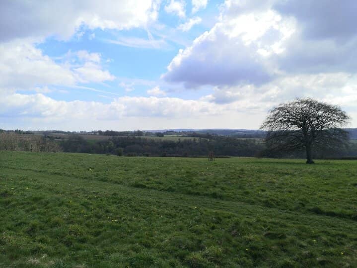 Peaceful Garden Strolls