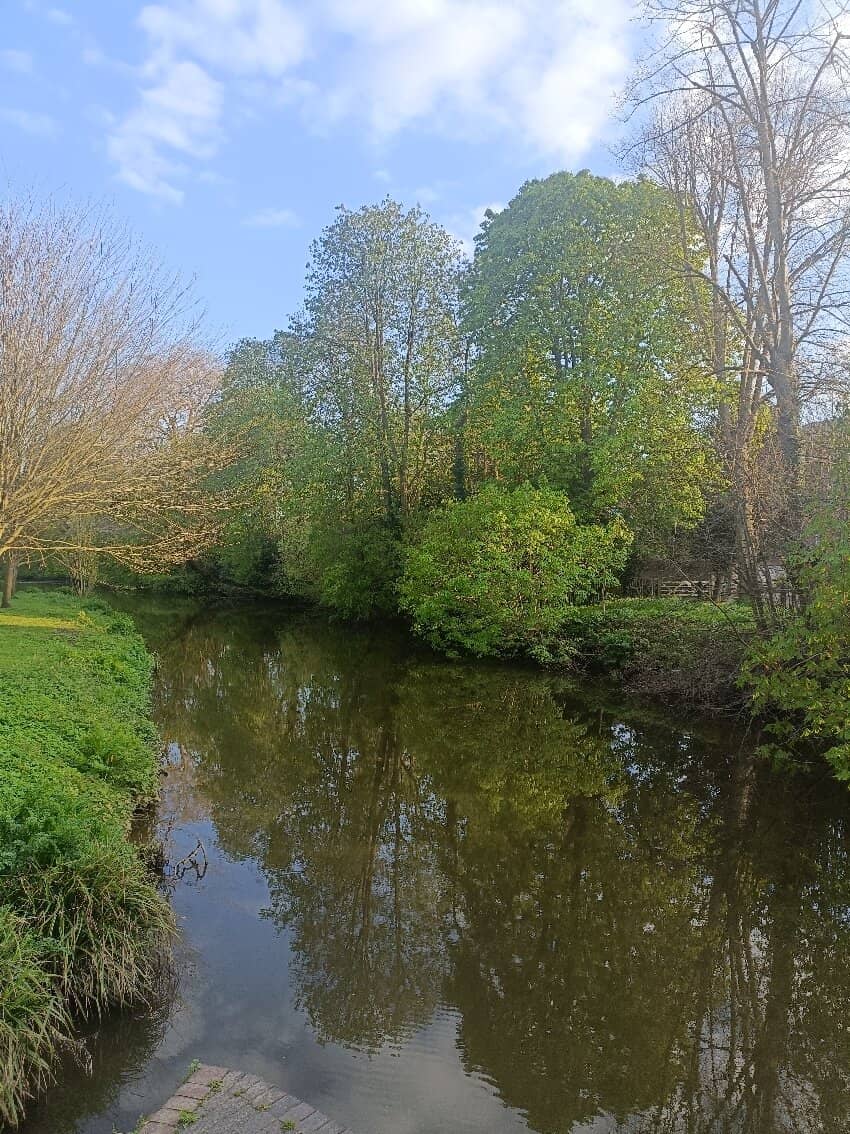 Mill Studio Performances