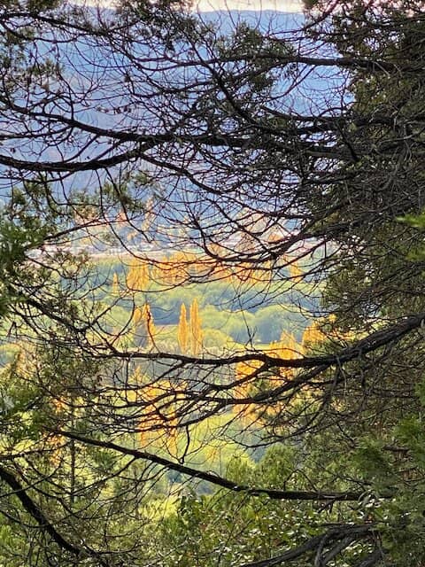 Artistic Interventions