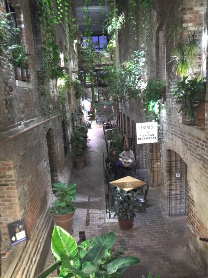 Vertical photo