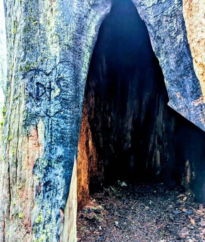 Charming Streamside Scenery