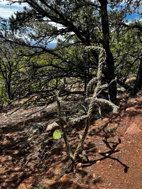 Unique Rock Formations