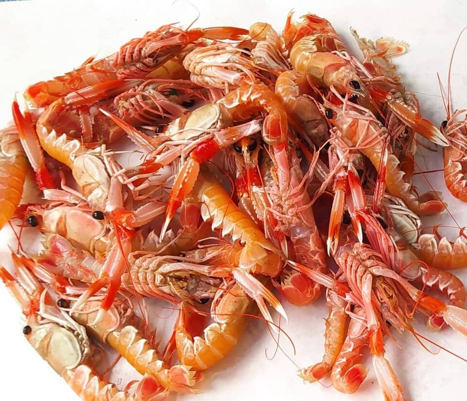 Sciacca's Ceramic Art