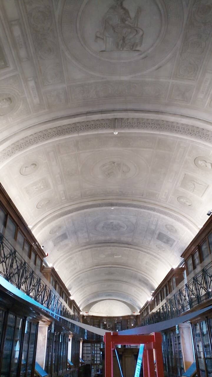 Vertical photo