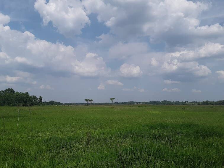Diverse Ecosystems