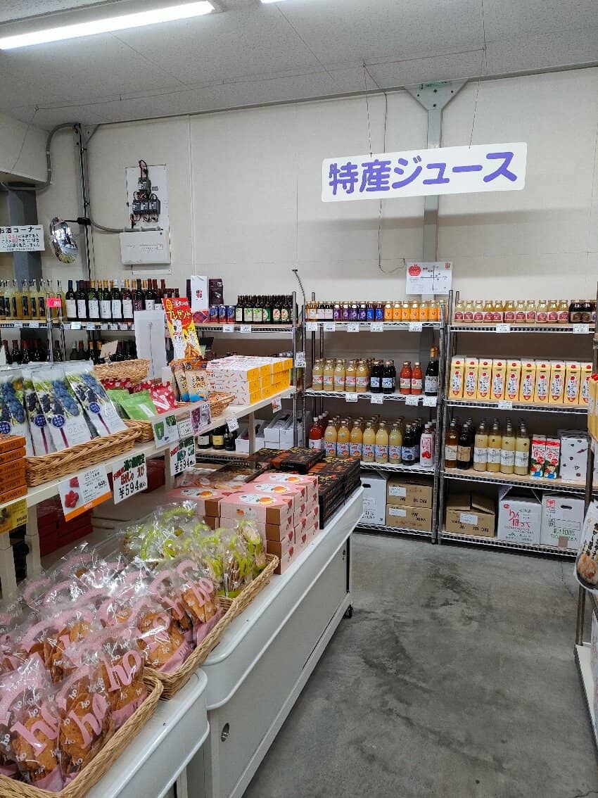 Unique Space-Themed Souvenirs