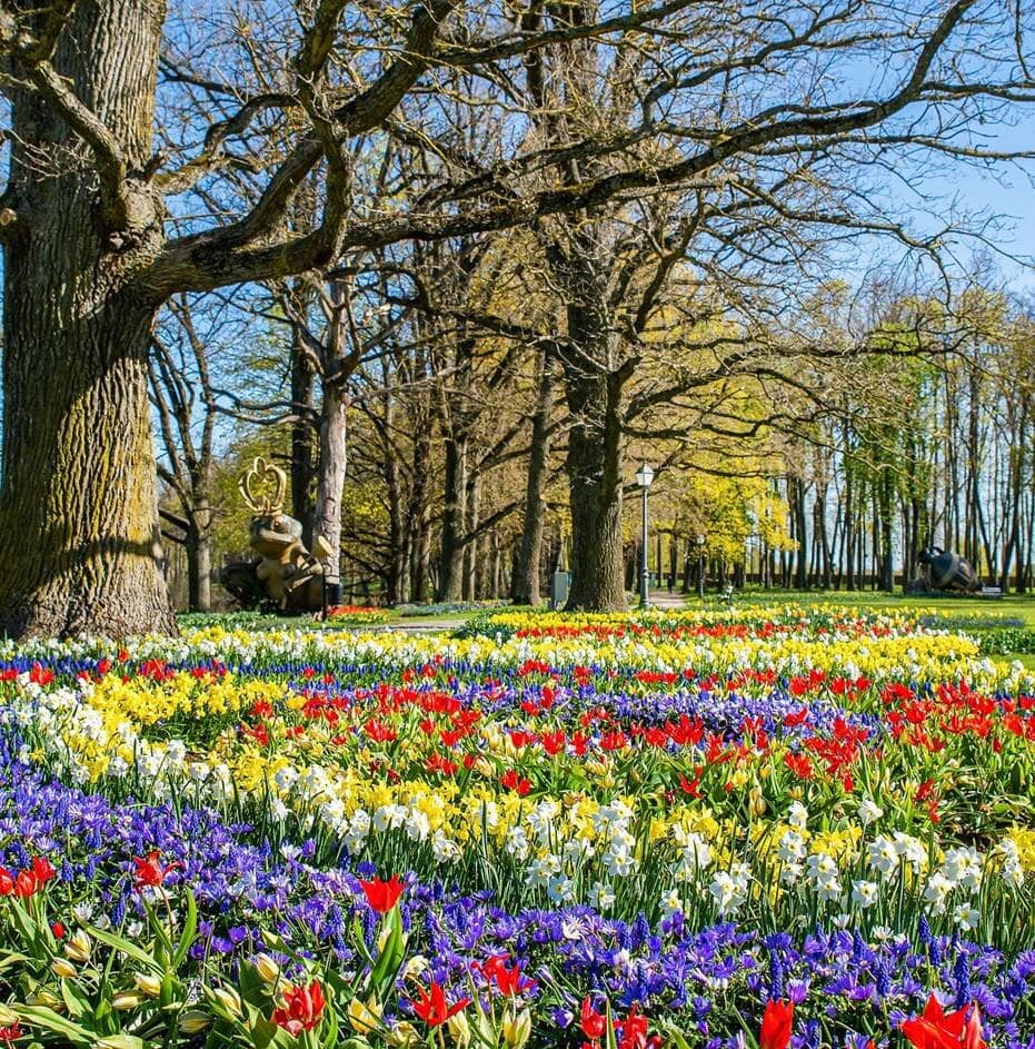 The Extensive Gardens