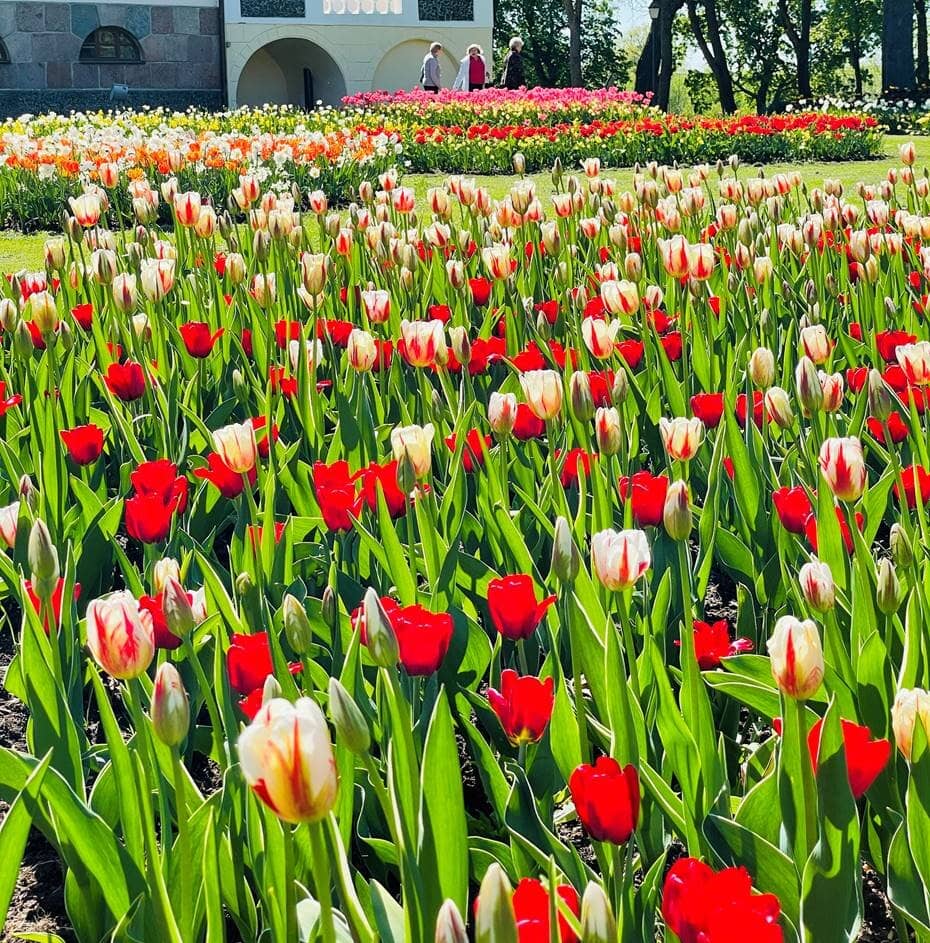 Festival of Flowers, Art and Love