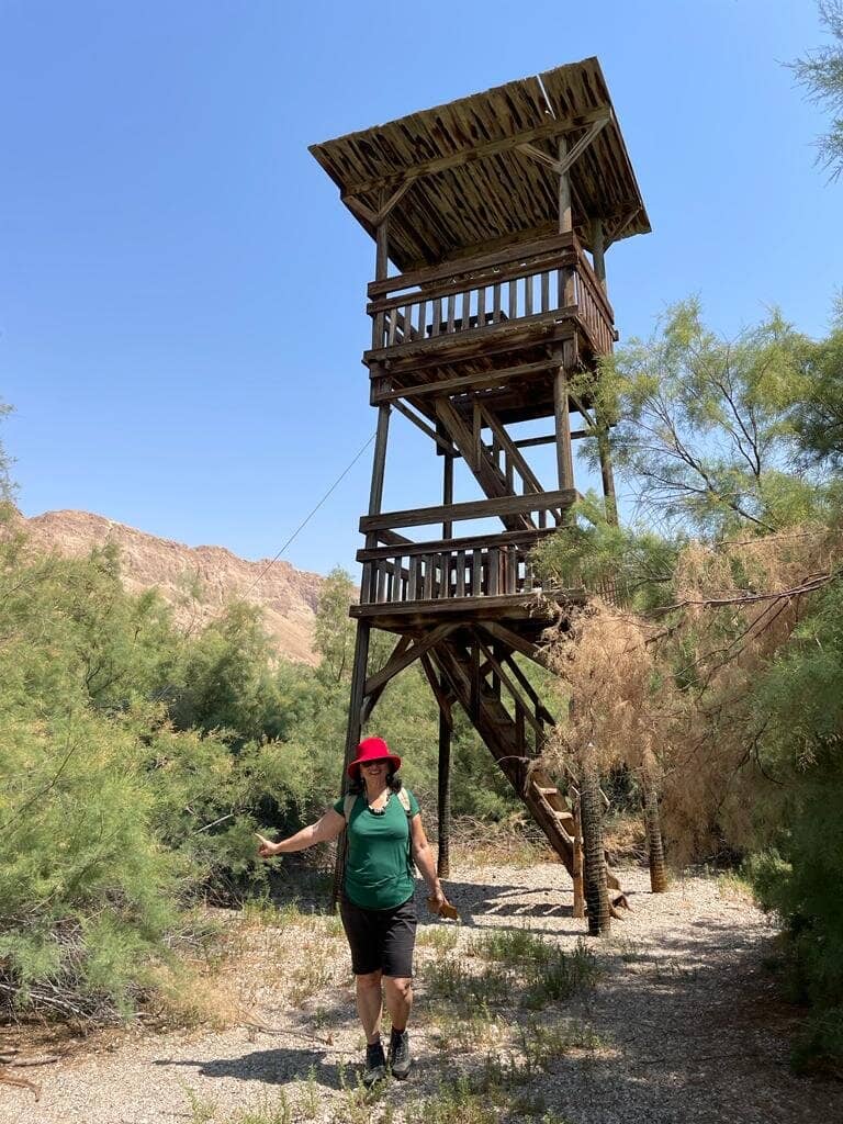 Wadi Exploration