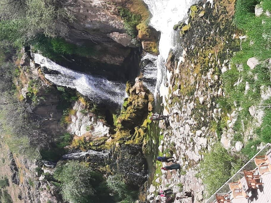 Vertical photo