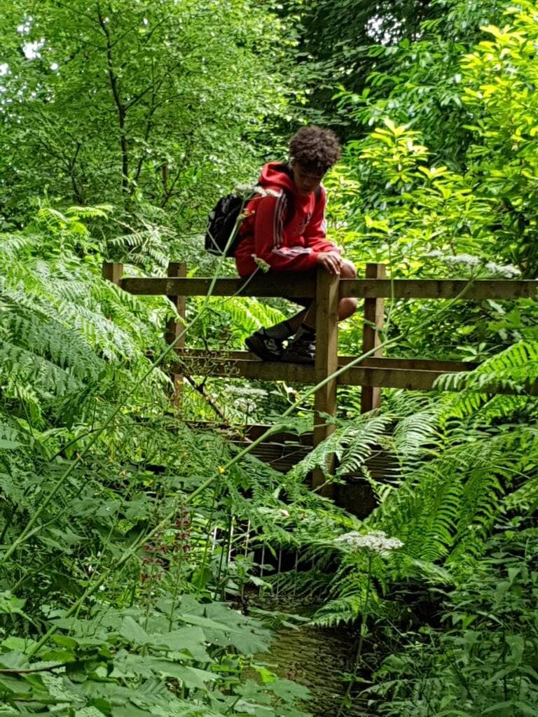 Rocky Scrambles