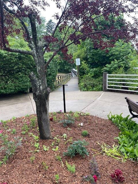 Local Amenities & Businesses