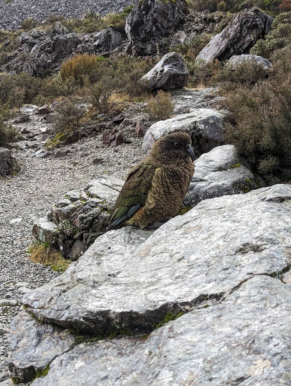 Panoramic Valley Views