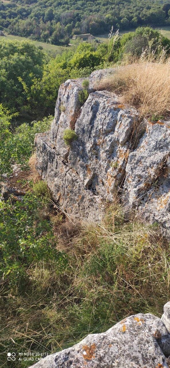 Ancient Settlement Remains