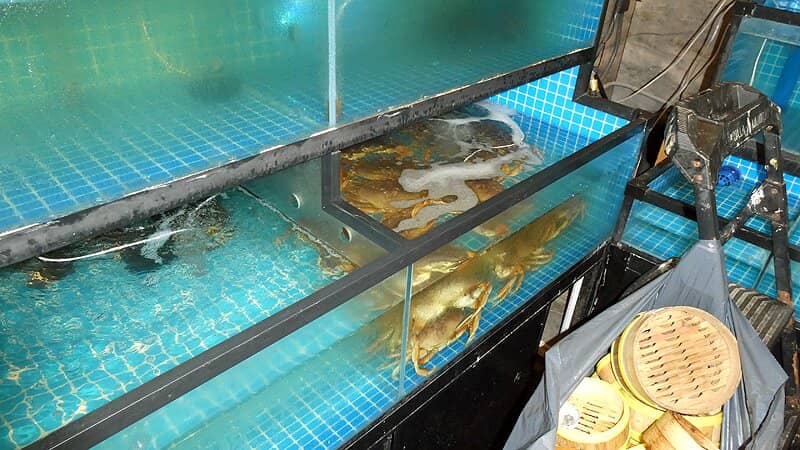 Signature Cantonese Dishes