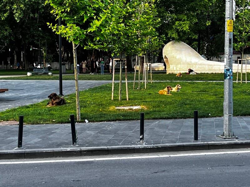 Artistic Installations