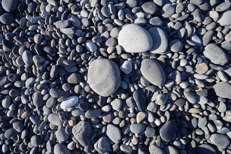 Carp Streamers Display